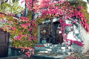 最终历史的拯救者：守望共享新时代的辉煌