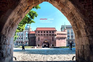 最终历史的拯救者：守望共享新时代的辉煌