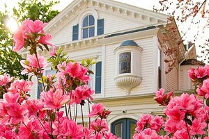 最终历史的拯救者：守望共享新时代的辉煌