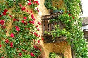 红魔腾飞，剑指巅峰！曼联三连胜升至英超前四，球迷狂欢盛宴已开启！