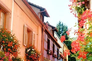 绿茵失意，雄鹰何以再展翅？斯洛伐克客场憾负爱尔兰，一场磨砺的深层解读