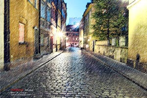 最终历史的拯救者：守望共享新时代的辉煌