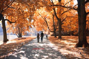 红魔腾飞，剑指巅峰！曼联三连胜升至英超前四，球迷狂欢盛宴已开启！