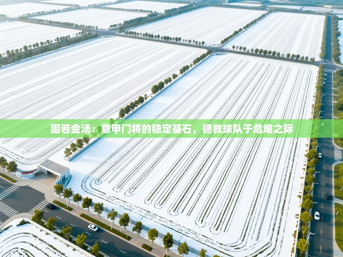 固若金汤：意甲门将的稳定基石，拯救球队于危难之际  第2张