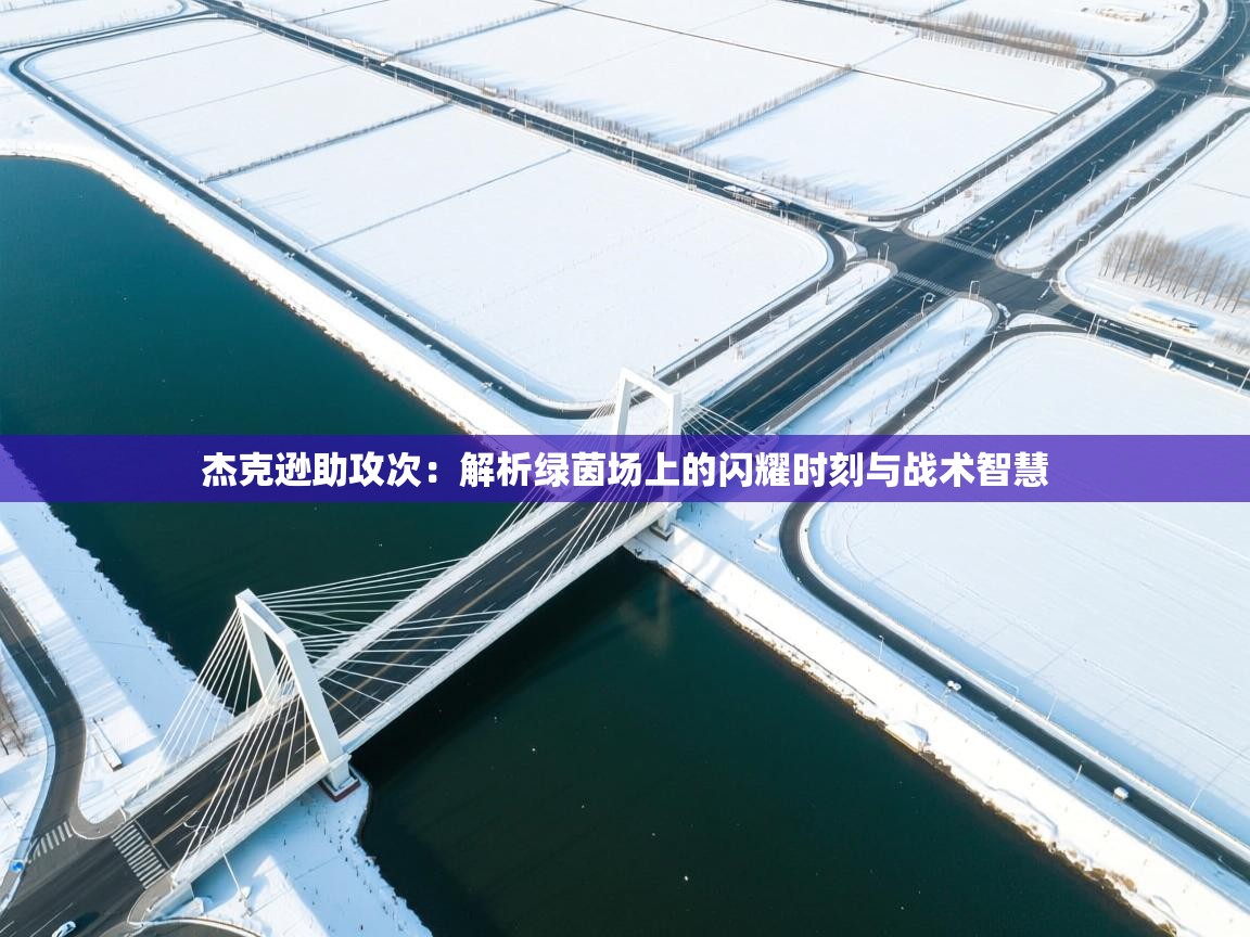 杰克逊助攻次：解析绿茵场上的闪耀时刻与战术智慧  第2张