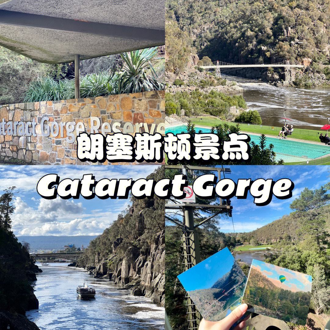 塔斯马尼亚联战术调整，关键球员或将首发出战